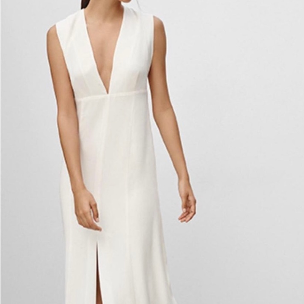 Aritzia Babaton Dress midi dress